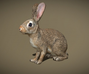 Modern Mammal-ID:141959915