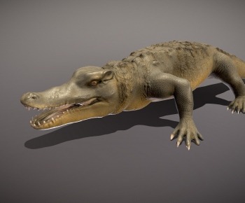 Modern Reptile-ID:279211047