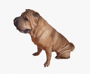 Modern Animal Dog-ID:665035964