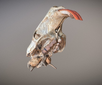 Modern Medical Equipment-ID:273112062