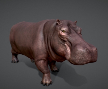 Modern Animal-ID:493923906