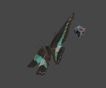Modern Animal-ID:638812075