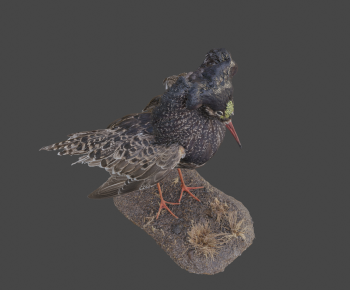 Modern Flying Animals-ID:697742943