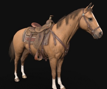 Modern Mammal-ID:831866982