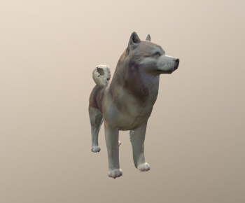 Modern Mammal-ID:817189246
