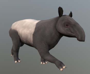 Modern Mammal-ID:409970348