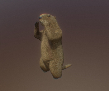 Modern Animal-ID:560831078
