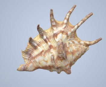 Modern Aquatic Animals-ID:363955971