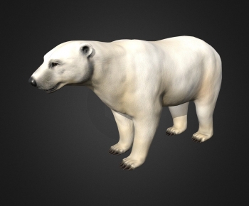 Modern Mammal-ID:287332068