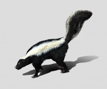 Modern Animal-ID:655957945
