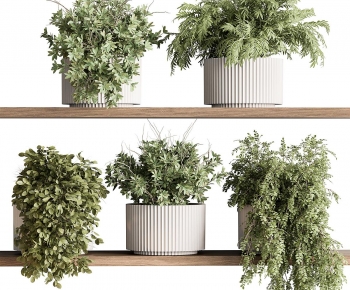 Modern Potted Green Plant-ID:132470116