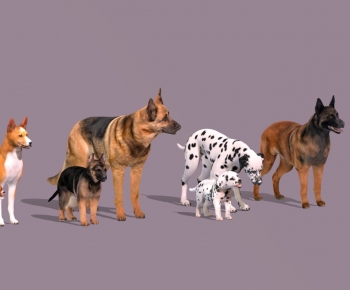 Modern Animal Dog-ID:355299952