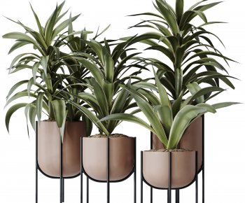 Modern Ground Green Plant Potted Plants-ID:627541074