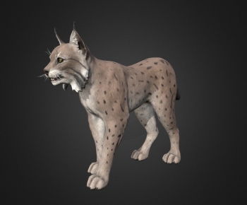 Modern Animal Cat-ID:165276051