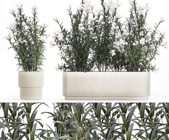 Modern Flower Bed, Flower Bowl, Flower Box-ID:563889989