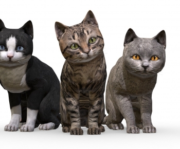 Modern Animal-ID:312639959
