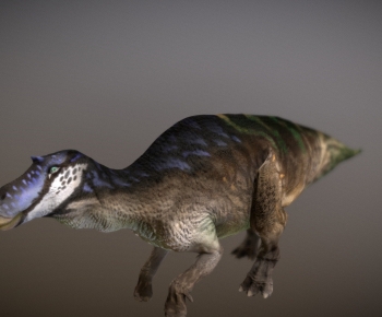 Modern Animal-ID:194133043