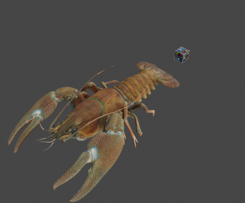 Modern Animal-ID:494852073
