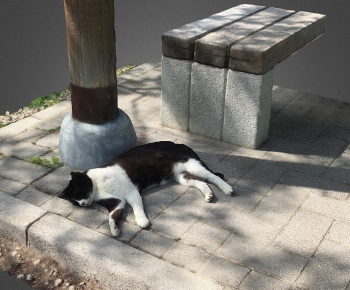 Modern Animal-ID:959345102
