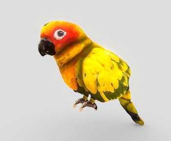 Modern Animal-ID:832378936