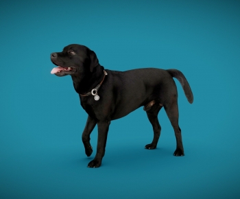 Modern Animal Dog-ID:624833118