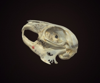 Modern Medical Equipment-ID:668381936