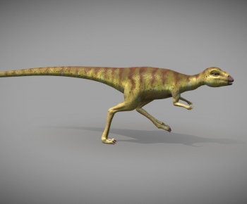 Modern Animal-ID:345134971