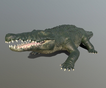 Modern Reptile-ID:448080062