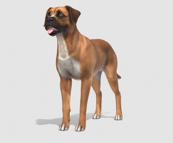 Modern Animal Dog-ID:753022913