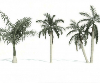 Modern Tree-ID:919656045