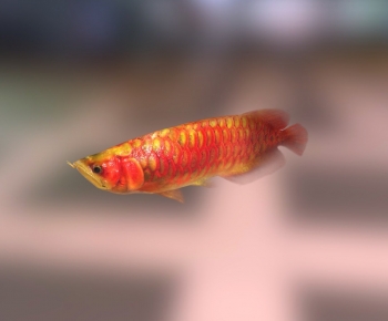 Modern Animal-ID:424917947