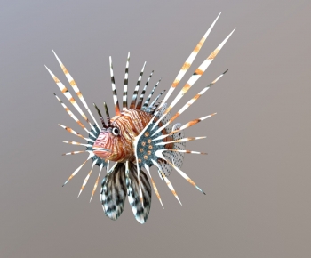 Modern Animal-ID:708379983