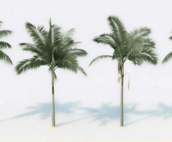 Modern Tree-ID:275214917