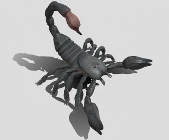 Modern Animal-ID:717749125