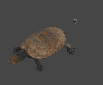 Modern Reptile-ID:625240097