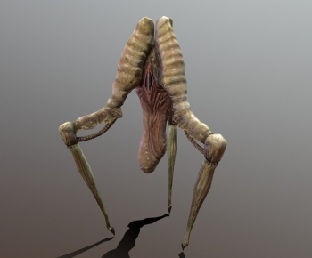 Modern Animal-ID:663830042