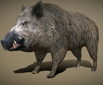 Modern Animal-ID:610991955