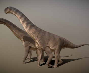 Modern Other Animals-ID:567095992