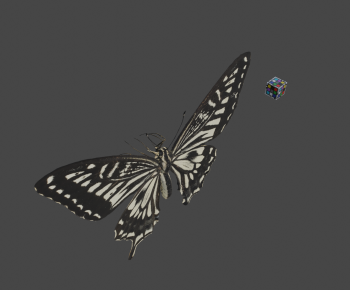 Modern Animal-ID:941696889