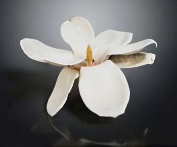 Modern Decorative Set-ID:795483112