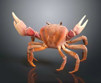 Modern Aquatic Animals-ID:487406975