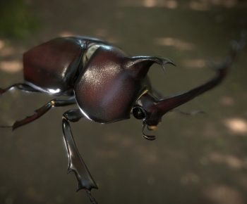 Modern Animal-ID:838560101