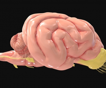 Modern Medical Equipment-ID:581854103