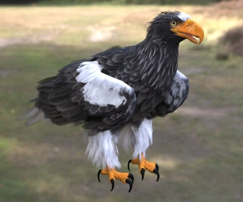 Modern Flying Animals-ID:290716893