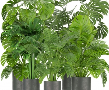 Modern Ground Green Plant Potted Plants-ID:854264023