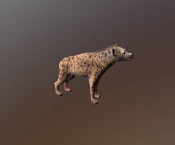 Modern Animal-ID:187870036