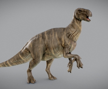 Modern Other Animals-ID:112730986