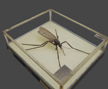 Modern Animal-ID:993666892
