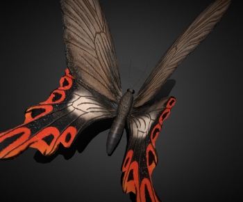 Modern Flying Animals-ID:692332988