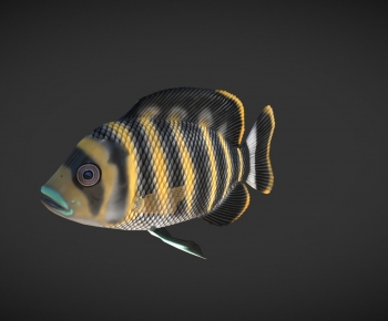 Modern Aquatic Animals-ID:340289122